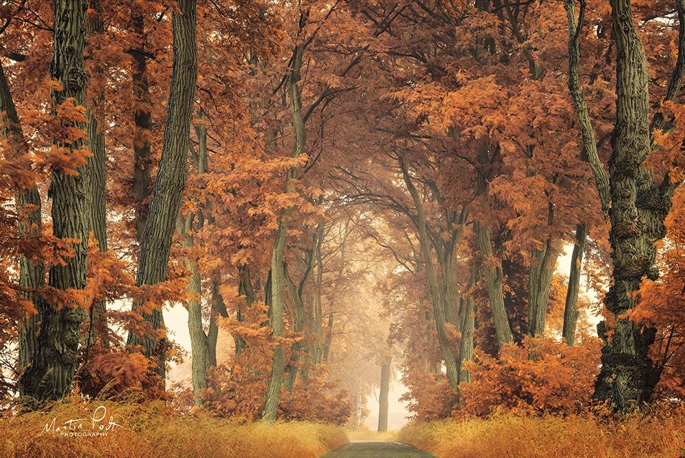 Follow Your Own Way art print by Martin Podt for $57.95 CAD