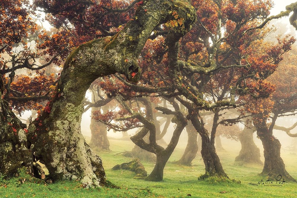 Fanal art print by Martin Podt for $57.95 CAD