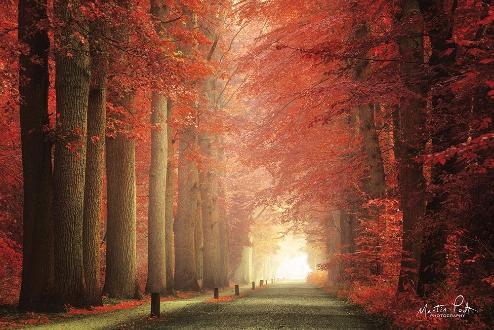 Way to Red           art print by Martin Podt for $57.95 CAD