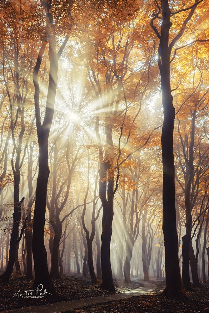 Explosion art print by Martin Podt for $57.95 CAD
