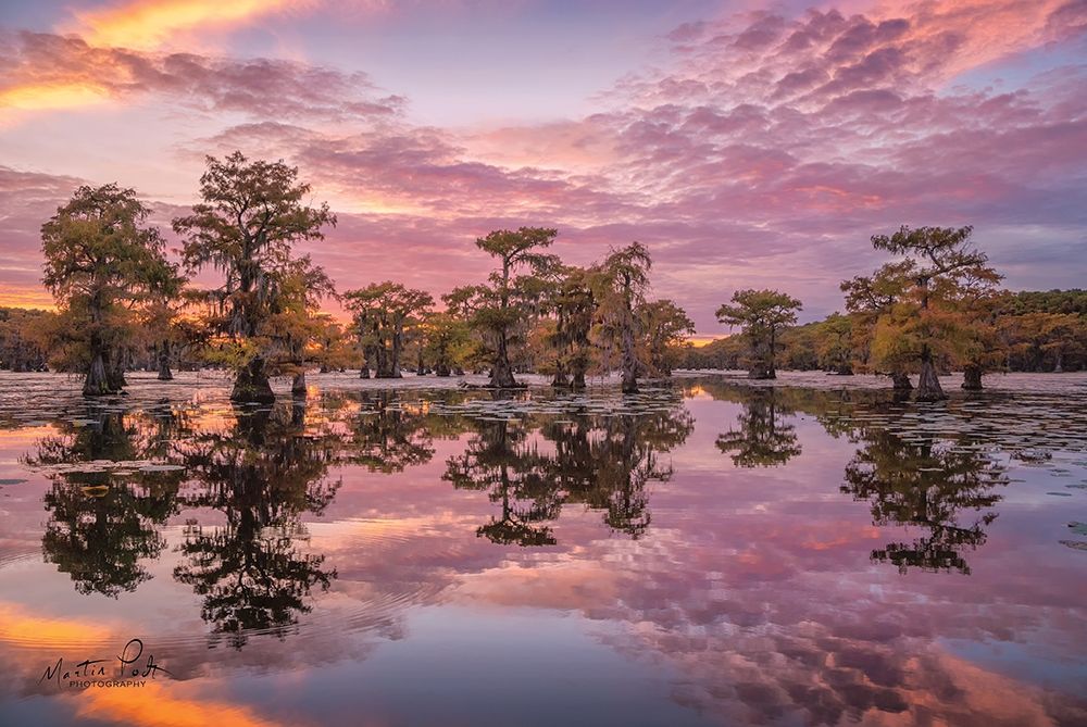 Magnificent Sunset in the Swamps art print by Martin Podt for $57.95 CAD