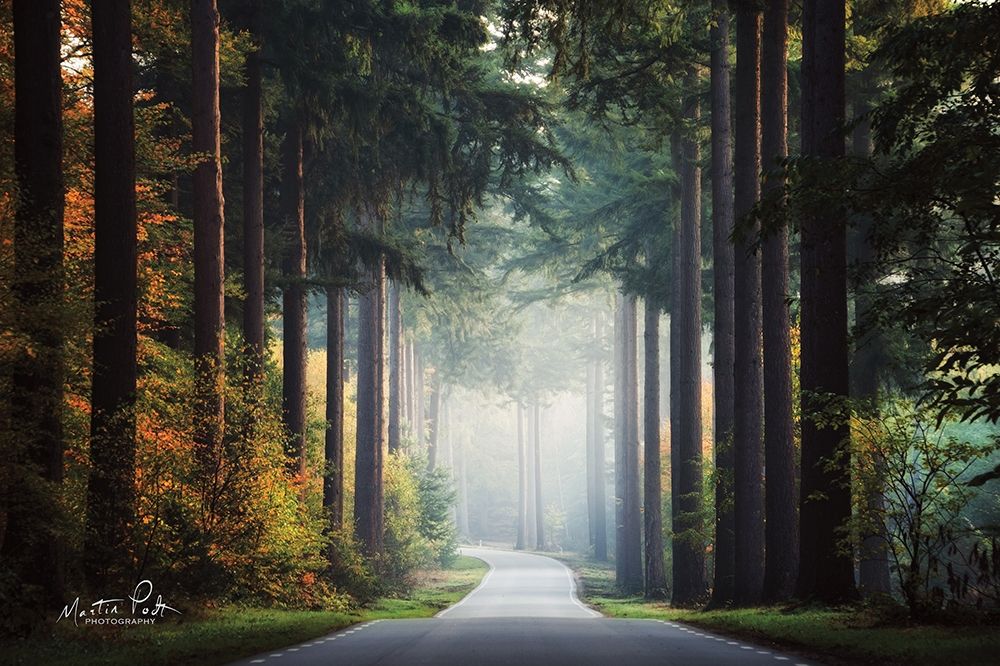 Mysterious Roads    art print by Martin Podt for $57.95 CAD