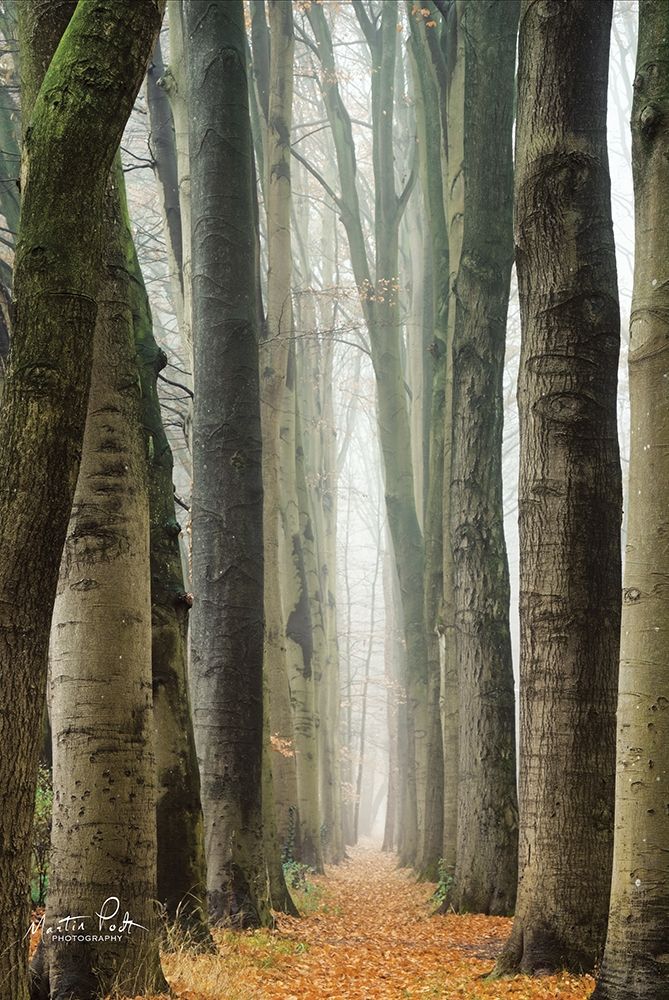 Narrow Alley in the Netherlands     art print by Martin Podt for $57.95 CAD