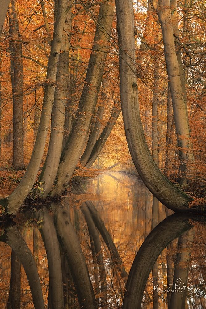 The Bent Ones art print by Martin Podt for $57.95 CAD