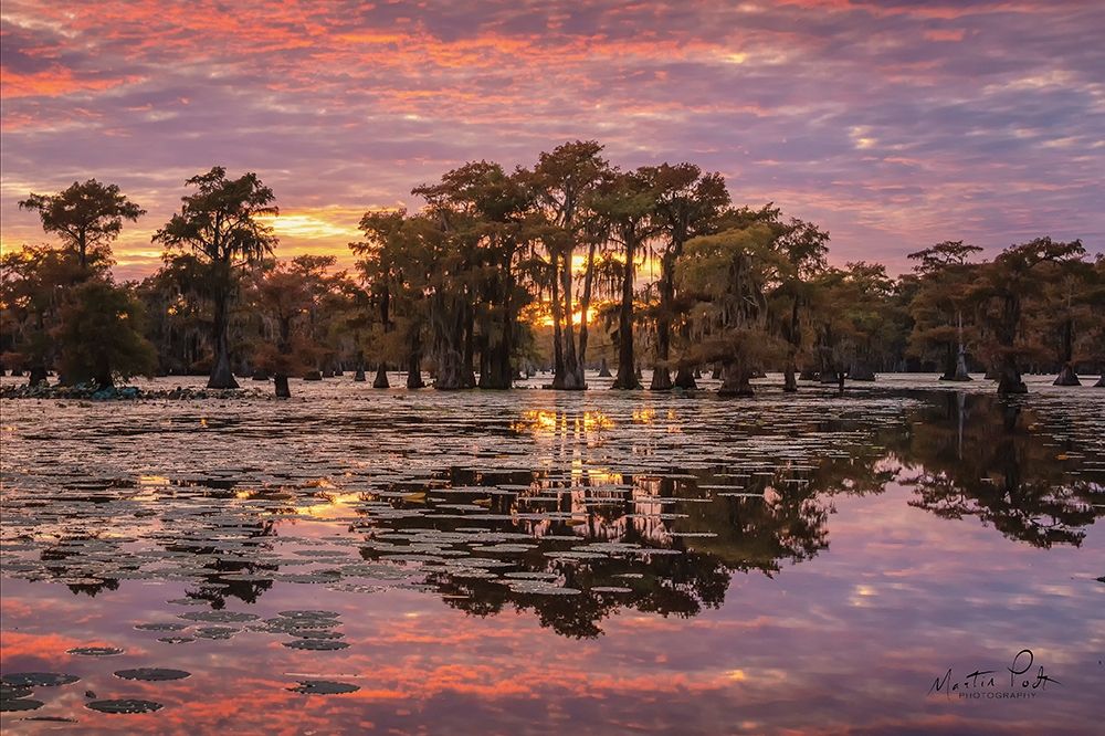 Sundown in the Swamps art print by Martin Podt for $57.95 CAD