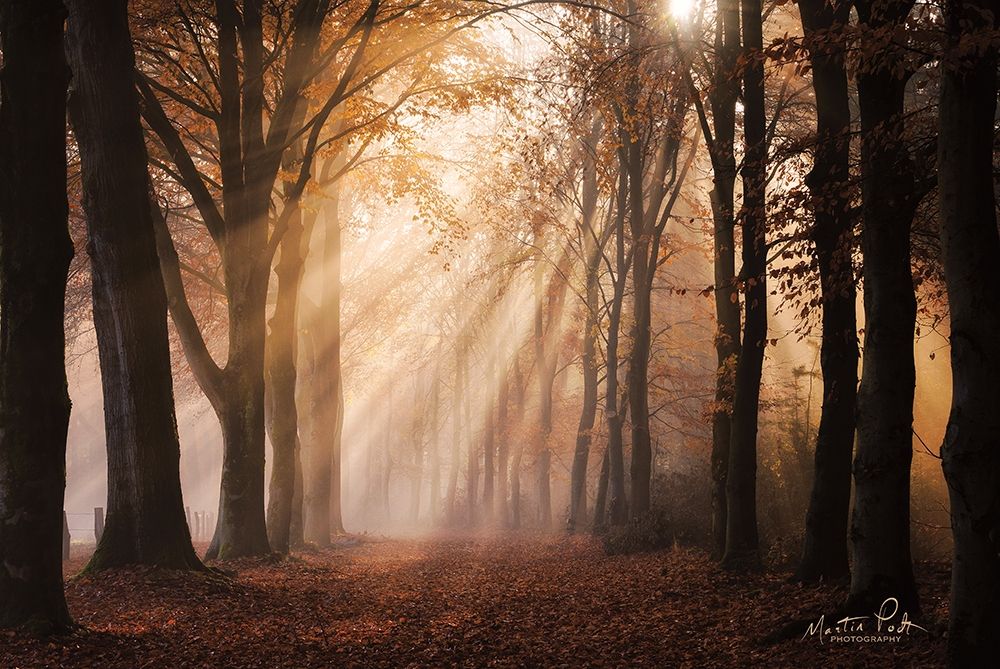 Look for the Light in All Things art print by Martin Podt for $57.95 CAD