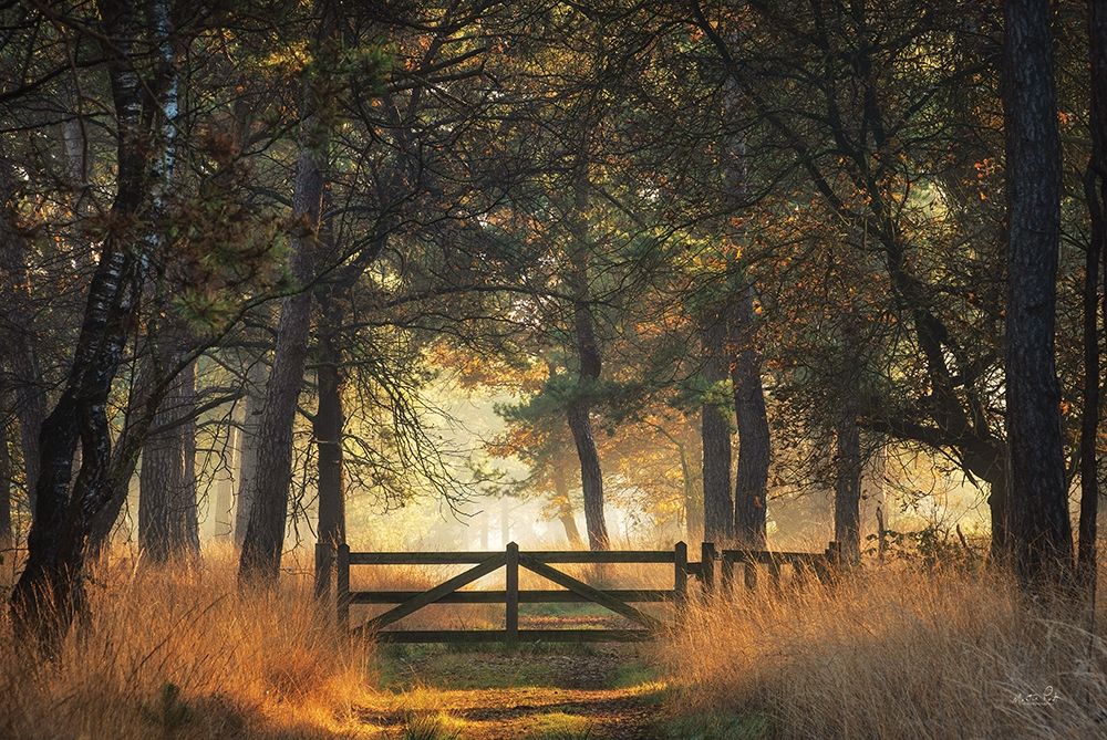 The Gate art print by Martin Podt for $57.95 CAD