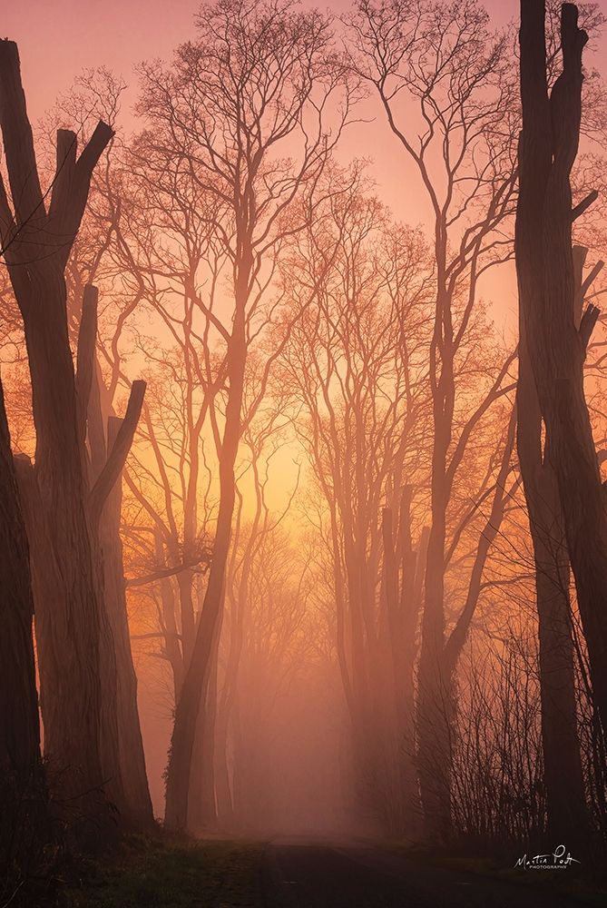 Mysterious Mood art print by Martin Podt for $57.95 CAD
