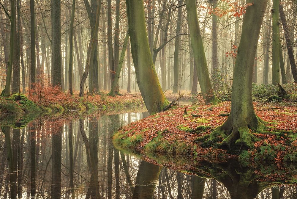 Rising Hope art print by Martin Podt for $57.95 CAD