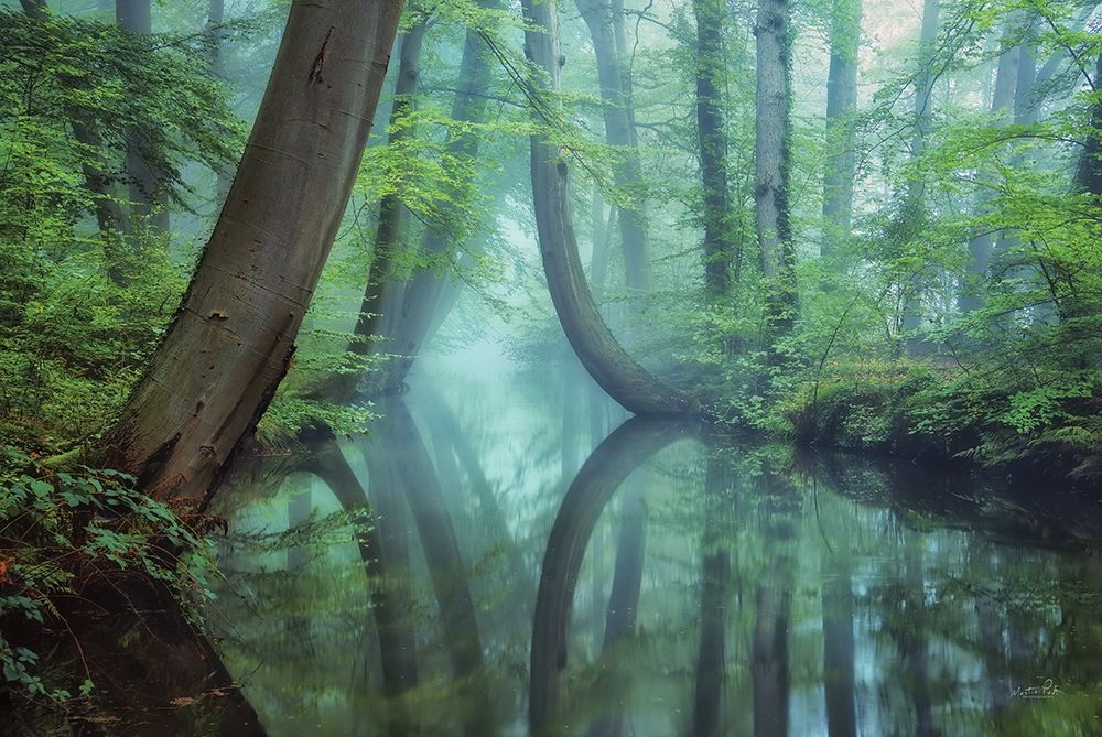 Moody Reflections art print by Martin Podt for $57.95 CAD
