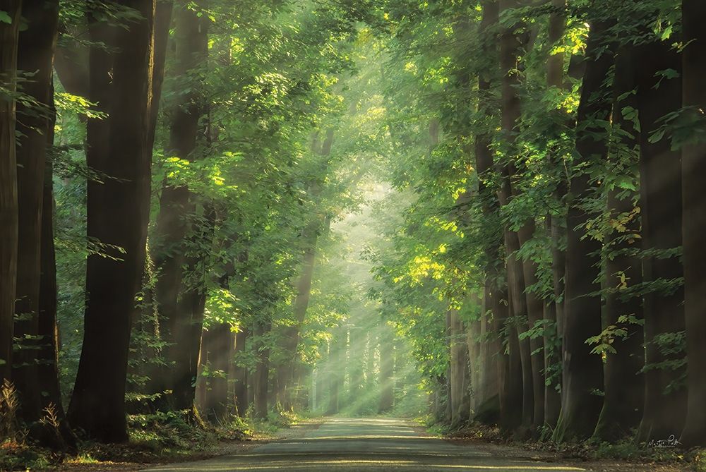 Bright Lights art print by Martin Podt for $57.95 CAD