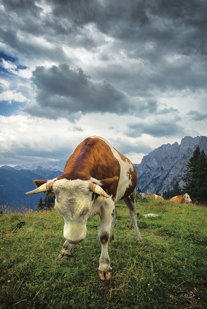 Bowing Cow art print by Martin Podt for $57.95 CAD