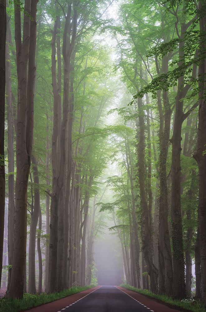 Foggy Road art print by Martin Podt for $57.95 CAD