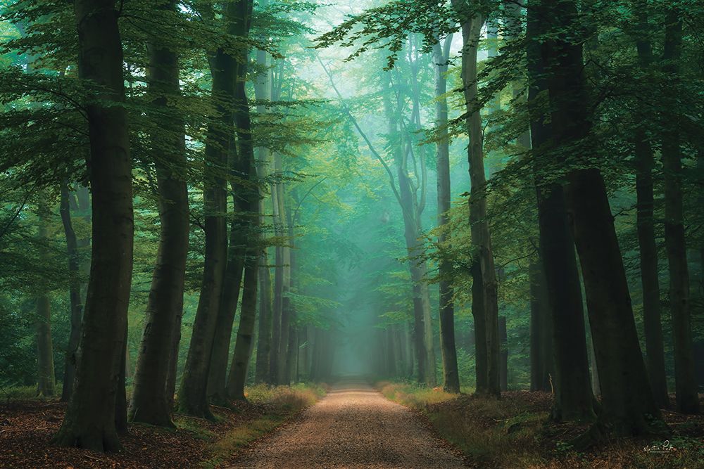 Road of Mysteries art print by Martin Podt for $57.95 CAD