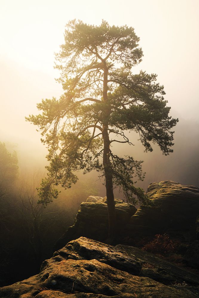 On the Edge of Glory art print by Martin Podt for $57.95 CAD