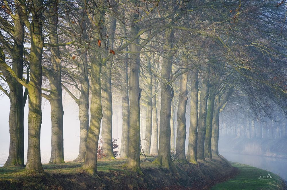 Standing Together art print by Martin Podt for $57.95 CAD
