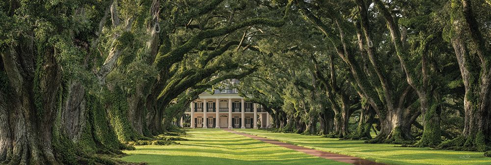 Oak Alley Plantation Panorama art print by Martin Podt for $57.95 CAD
