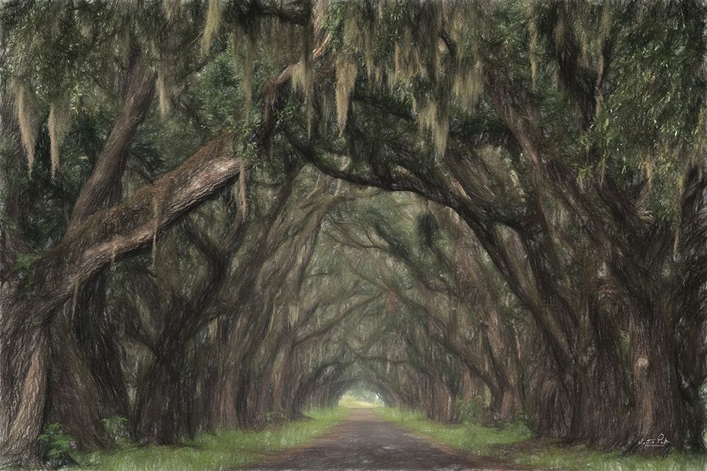 Alley of Oaks art print by Martin Podt for $57.95 CAD