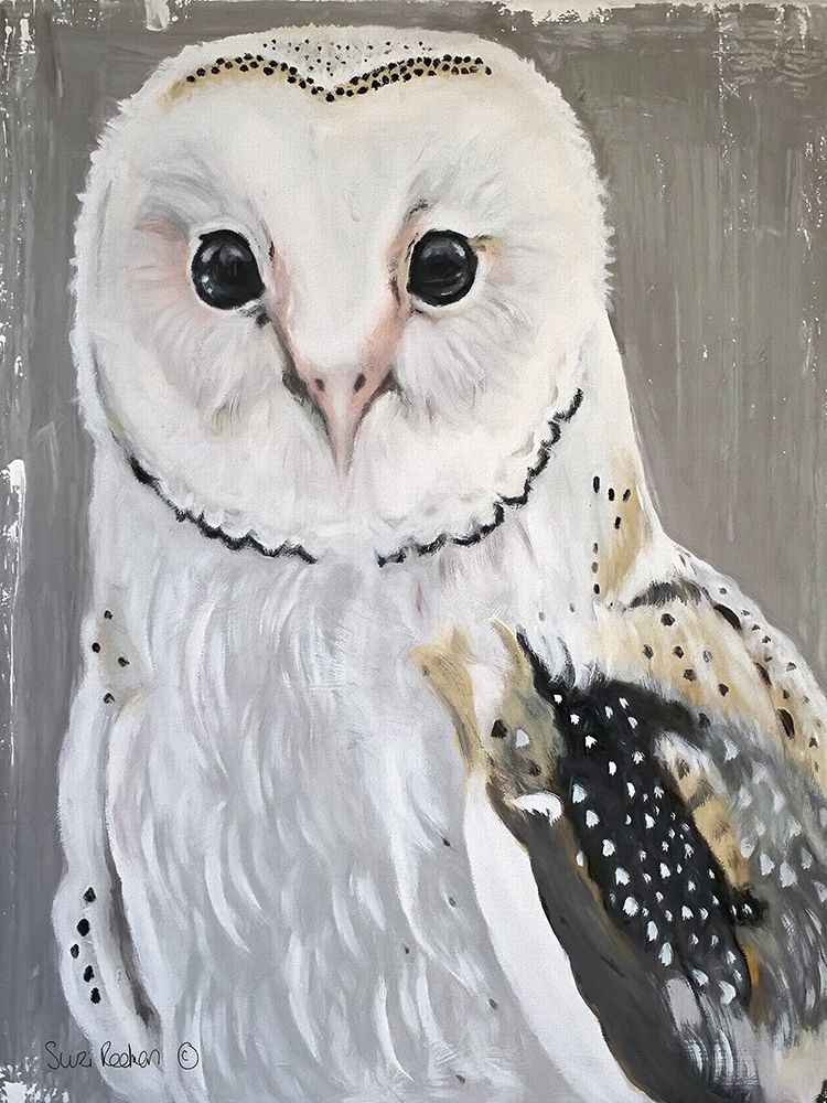 Barn Owl art print by Suzi Redman for $57.95 CAD