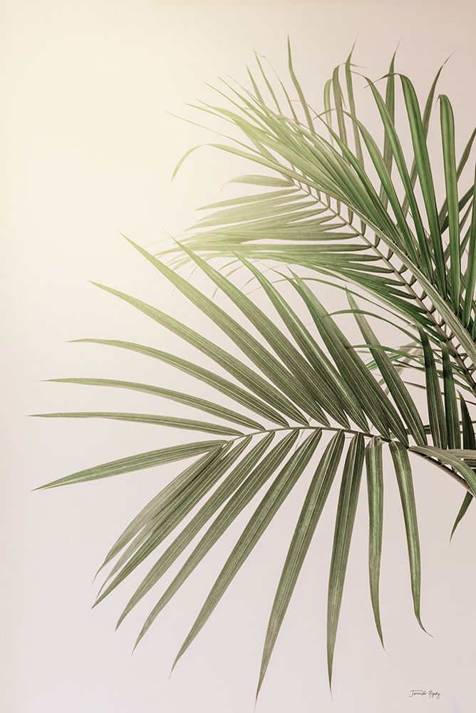 Sunkissed Palm art print by Jennifer Rigsby for $57.95 CAD