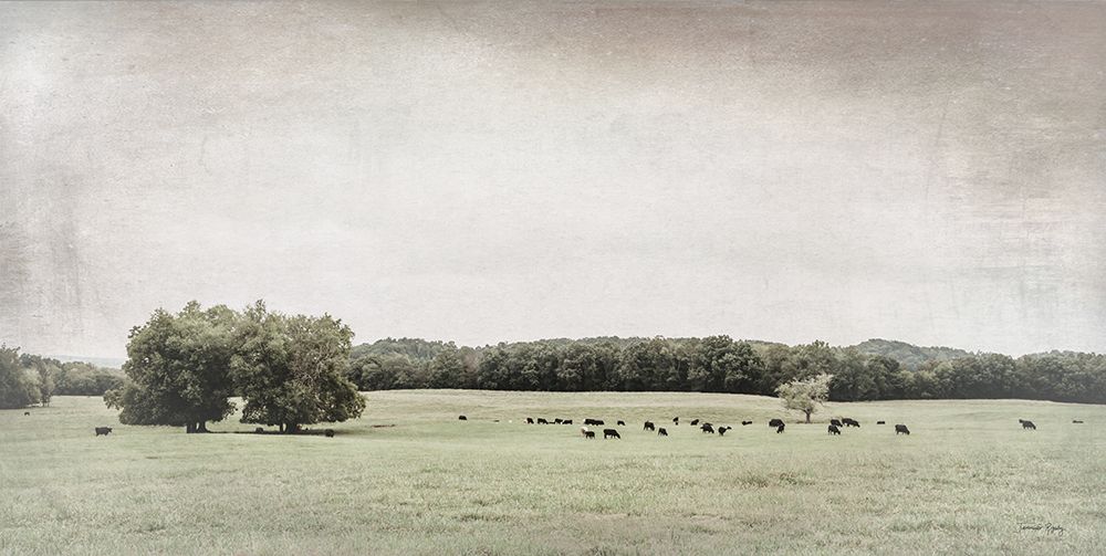 Green Pastures art print by Jennifer Rigsby for $57.95 CAD