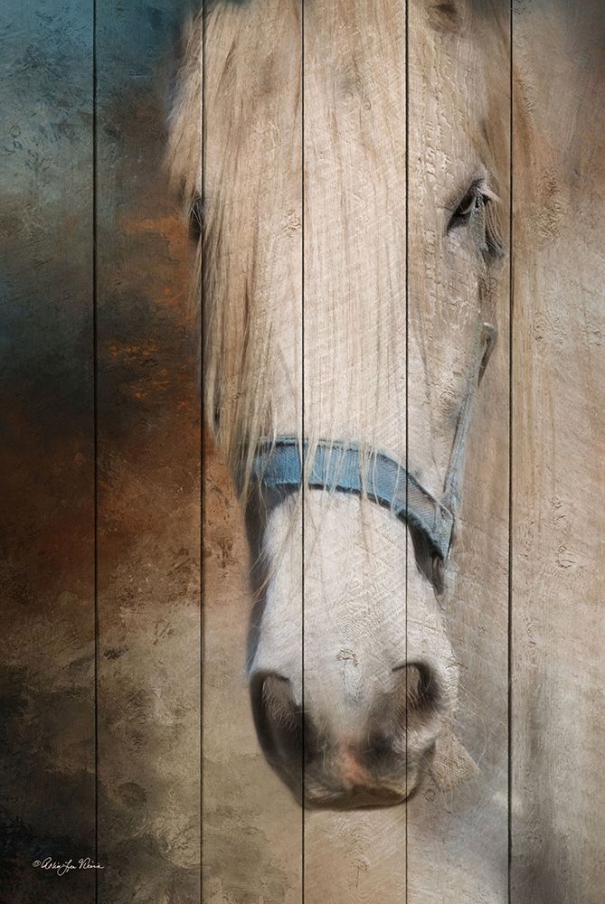 Old Gray Mare art print by Robin-Lee Vieira for $57.95 CAD