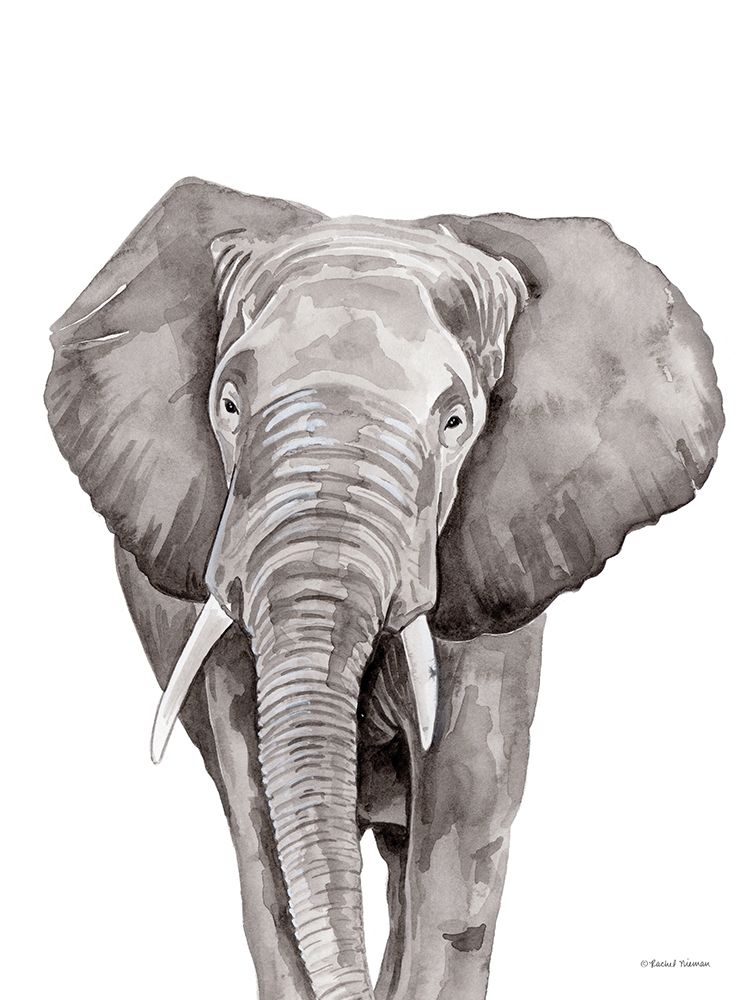 Safari Elephant Peek-a-boo art print by Rachel Nieman for $57.95 CAD