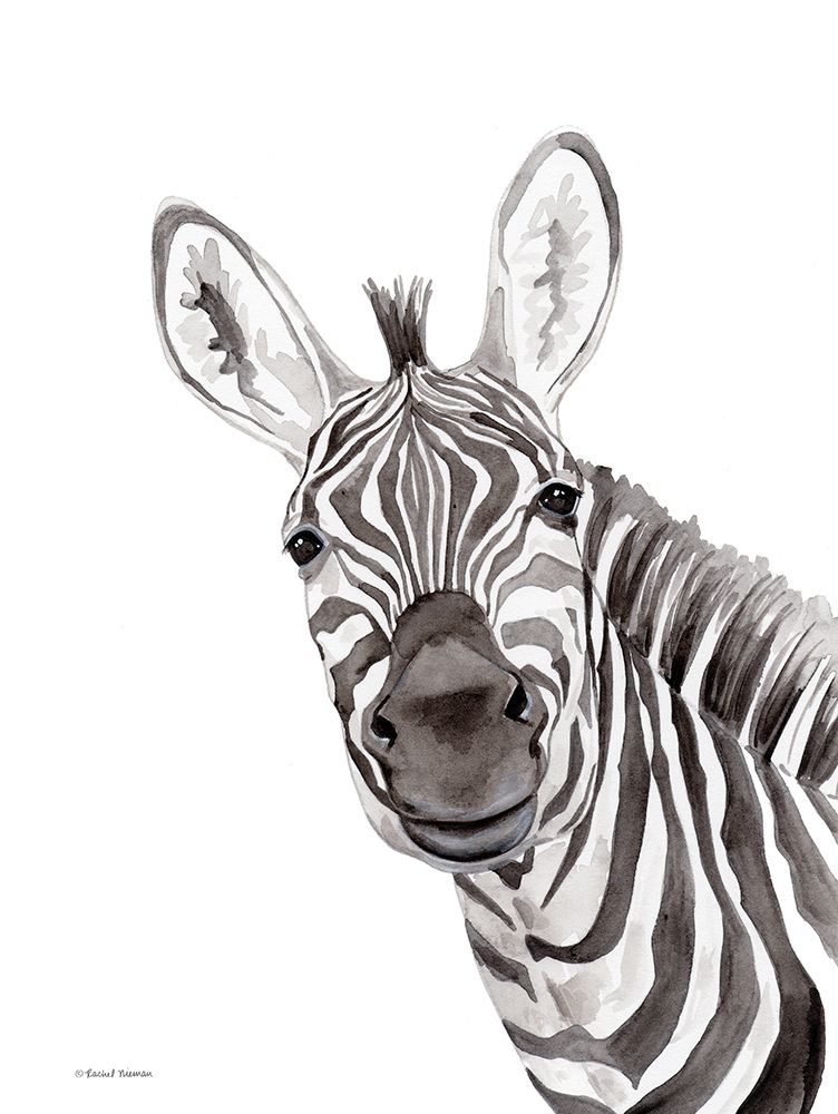 Safari Zebra Peek-a-boo art print by Rachel Nieman for $57.95 CAD