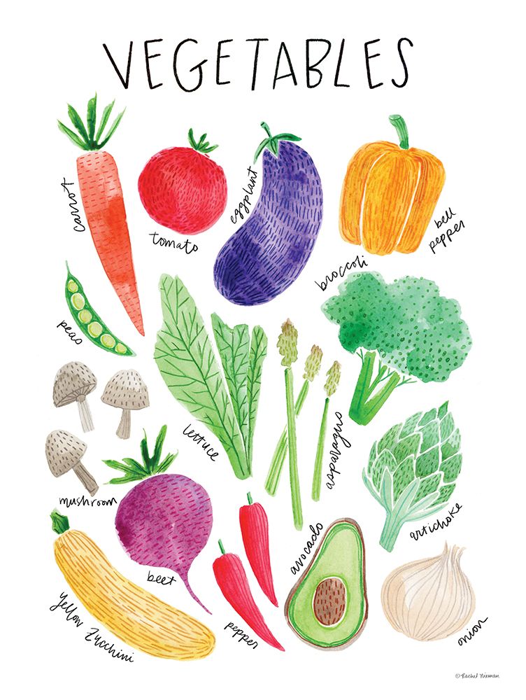 Vegetables art print by Rachel Nieman for $57.95 CAD