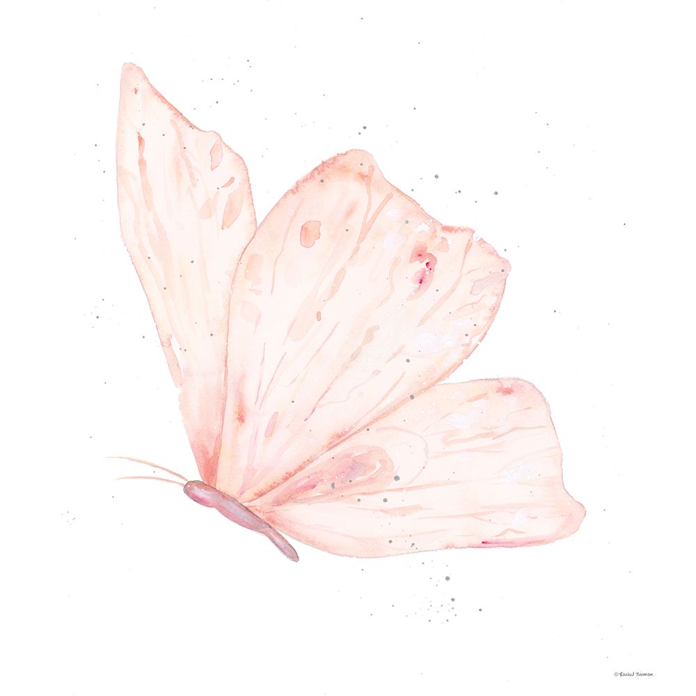 Pink Butterfly 3 art print by Rachel Nieman for $57.95 CAD