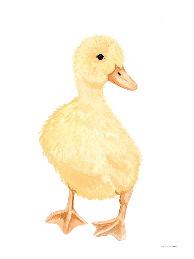Adorable Fluffy Duckling art print by Rachel Nieman for $57.95 CAD