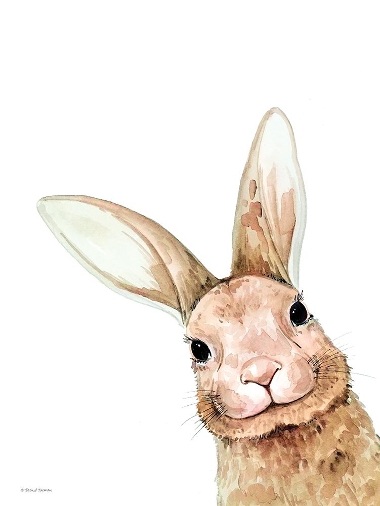 Fluffy Peekaboo Bunny art print by Rachel Nieman for $57.95 CAD