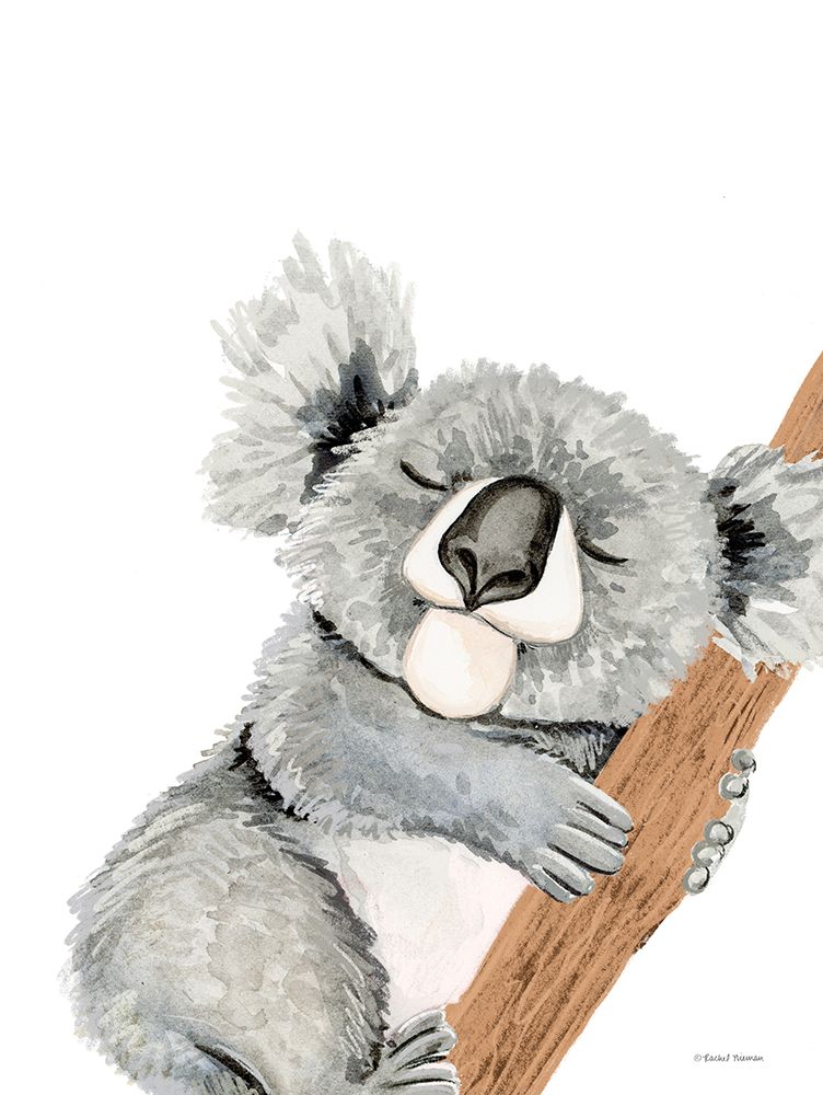 Cuddles the Koala art print by Rachel Nieman for $57.95 CAD