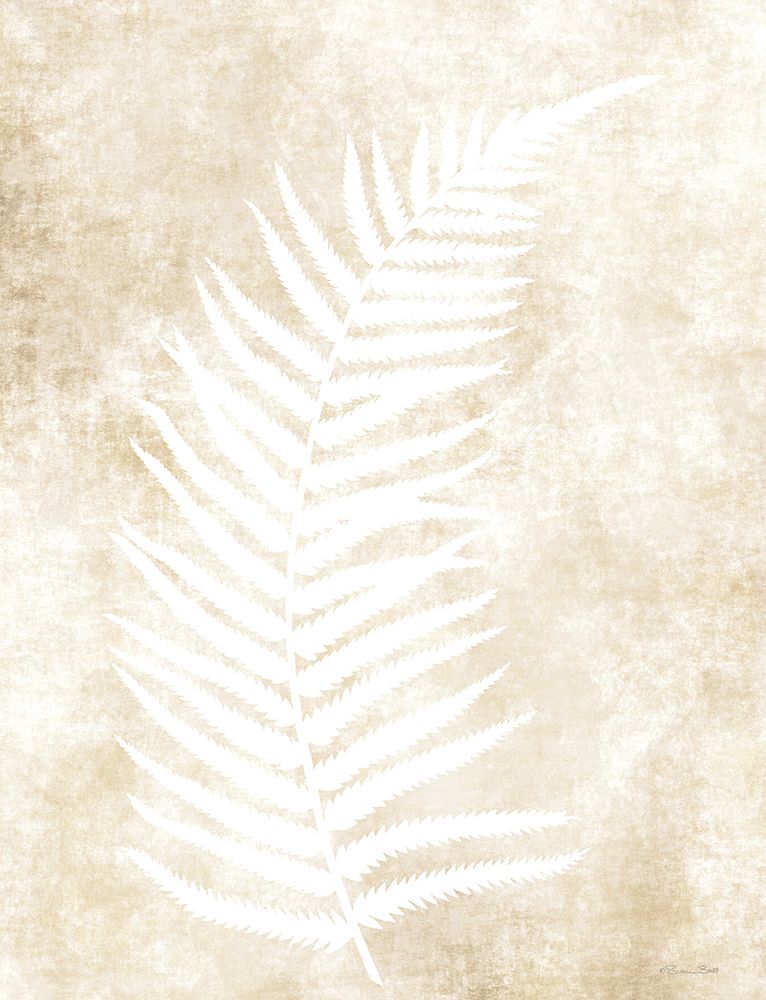 Fern Frond 2 art print by Susan Ball for $57.95 CAD