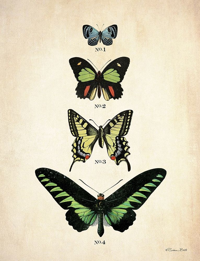 Butterflies 1     art print by Susan Ball for $57.95 CAD