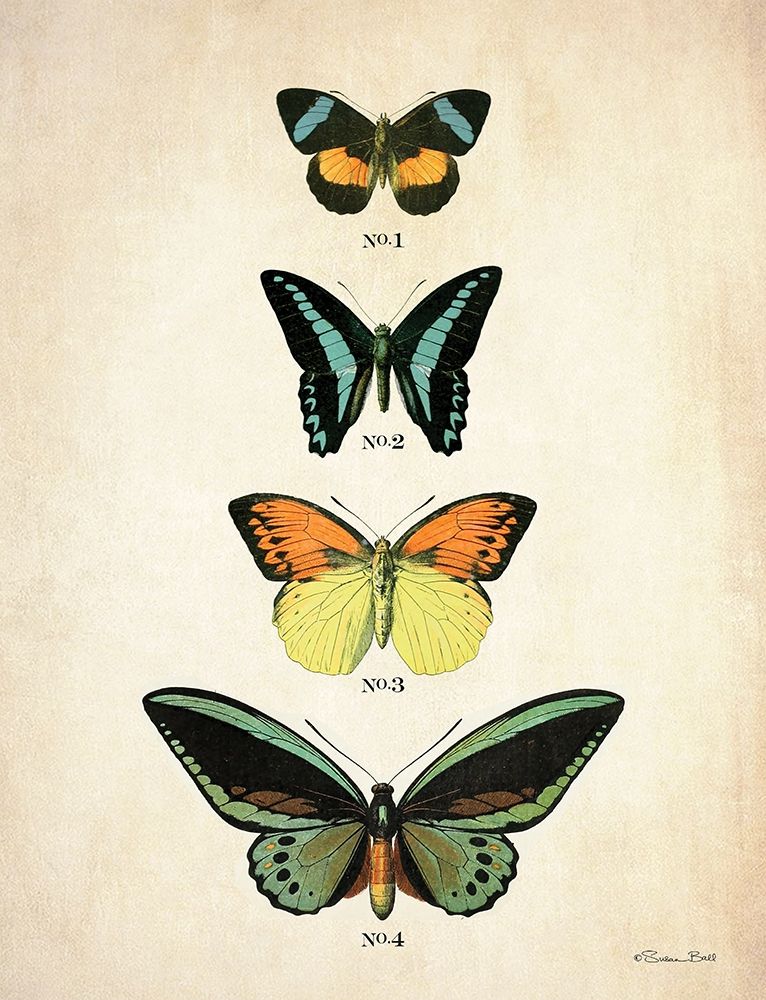 Butterflies 2    art print by Susan Ball for $57.95 CAD