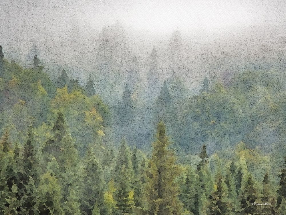 Pines art print by Susan Ball for $57.95 CAD