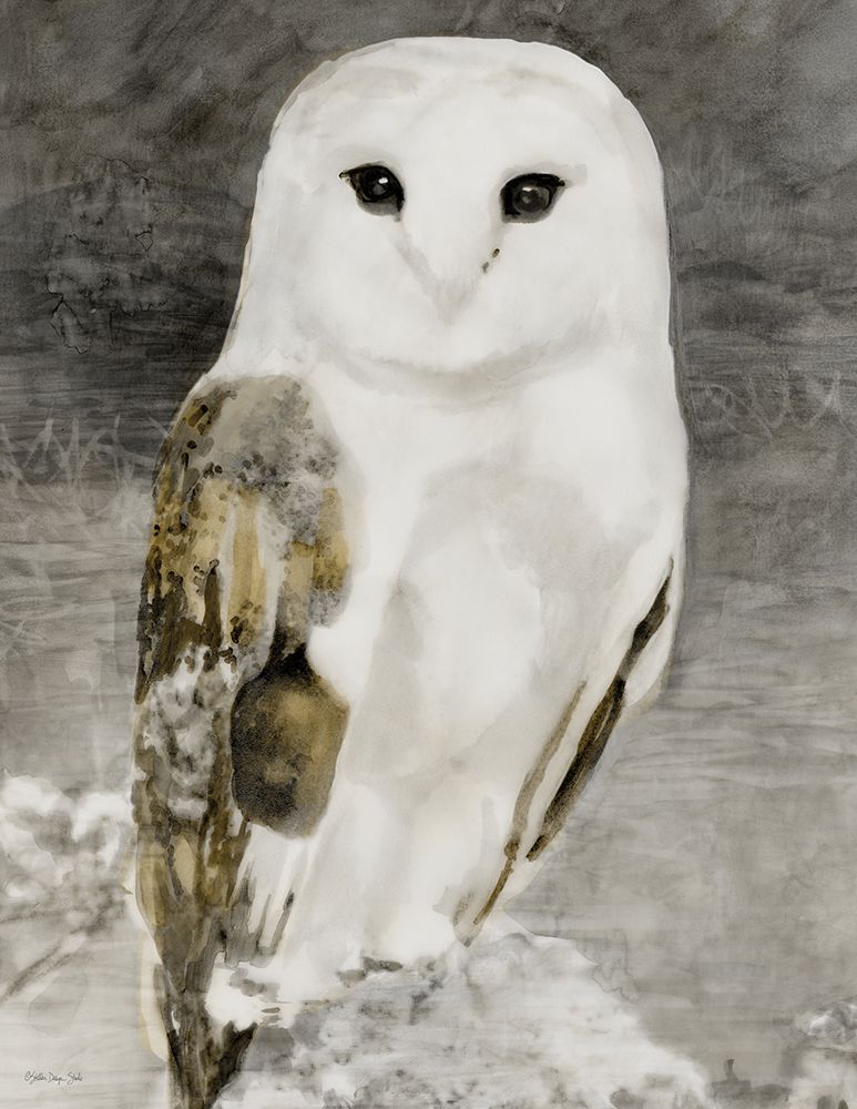 Snowy Owl 1 art print by Stellar Design Studio for $57.95 CAD