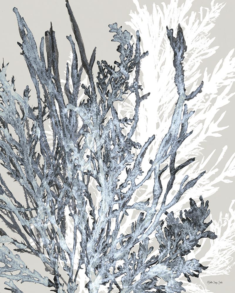 Transparent Coral 2 art print by Stellar Design Studio for $57.95 CAD