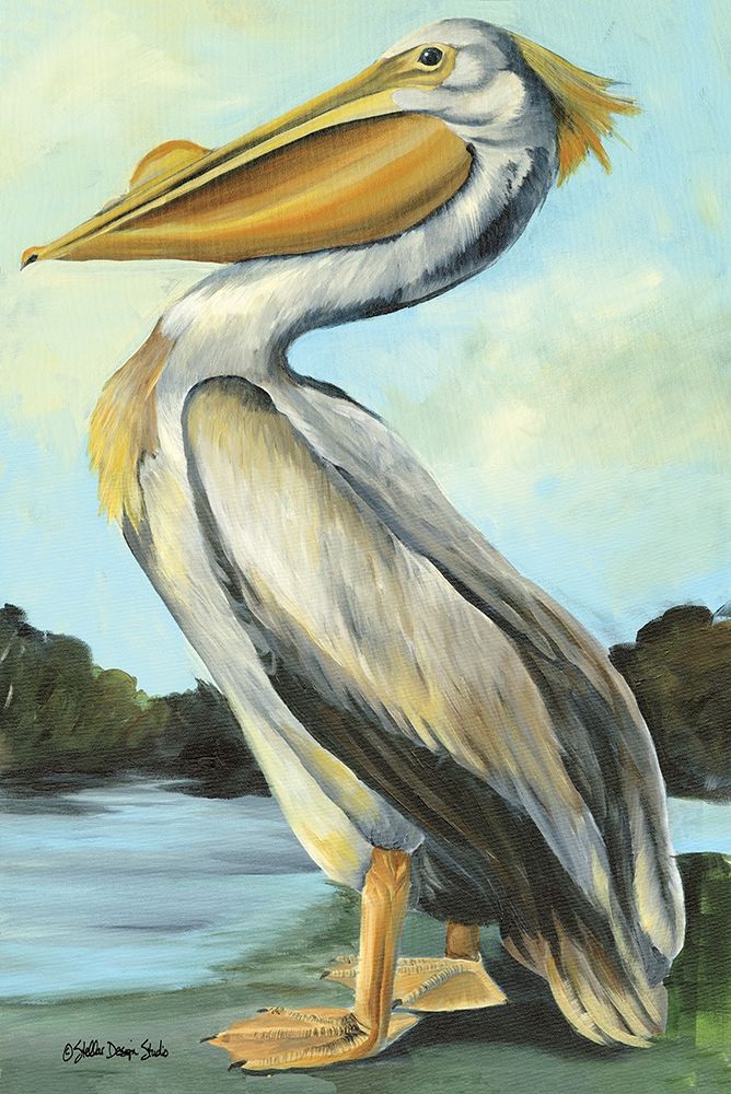 The Grand Pelican art print by Stellar Design Studio for $57.95 CAD