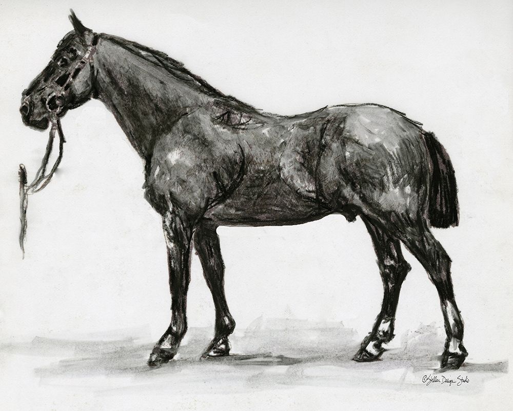 Horse Study 4 art print by Stellar Design Studio for $57.95 CAD
