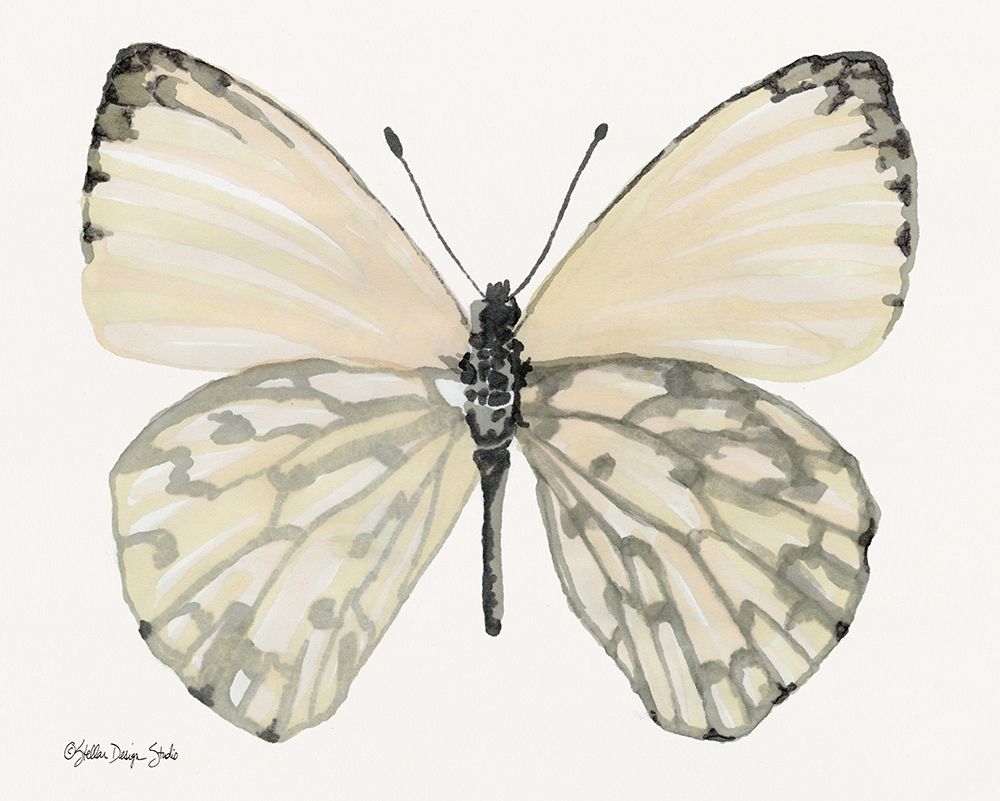 Butterfly 2 art print by Stellar Design Studio for $57.95 CAD