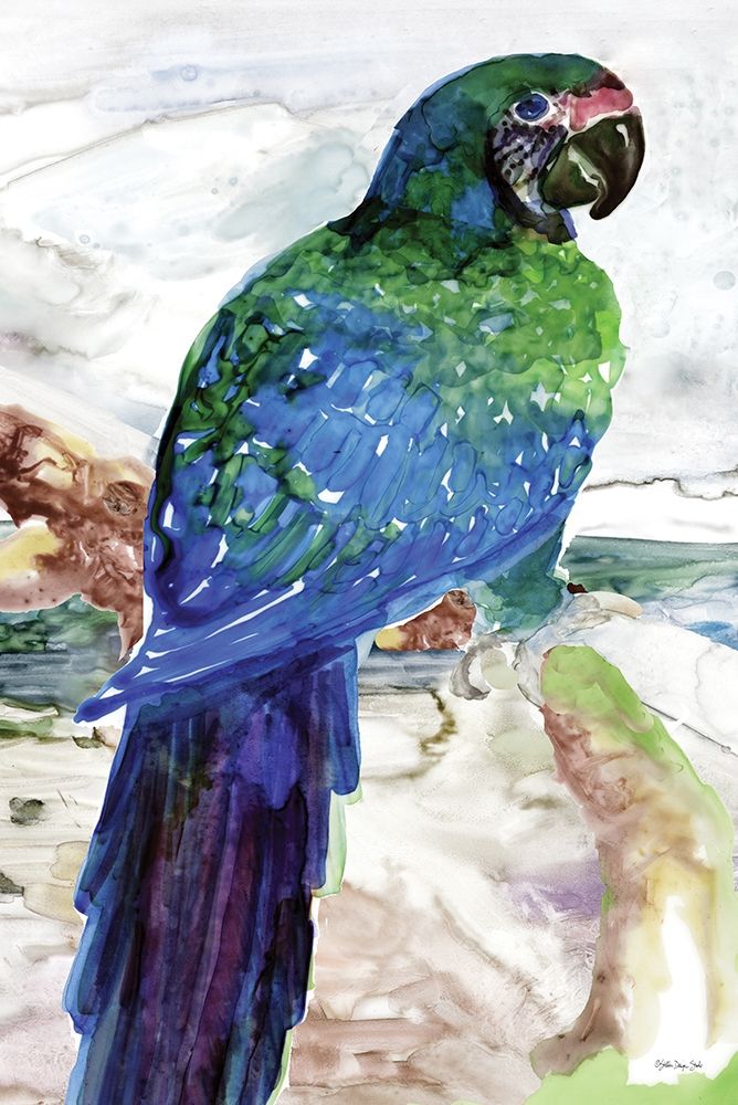 Blue Parrot on Branch 1 art print by Stellar Design Studio for $57.95 CAD