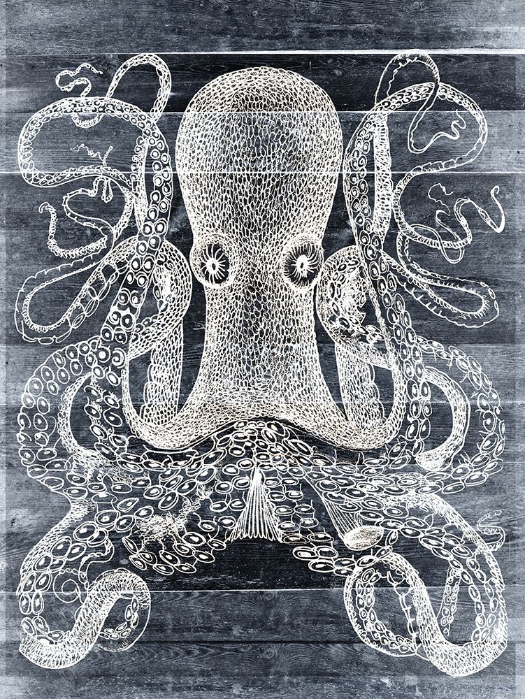 Kraken I art print by Stellar Design Studio for $57.95 CAD