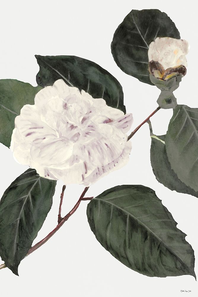 White Botanical I art print by Stellar Design Studio for $57.95 CAD