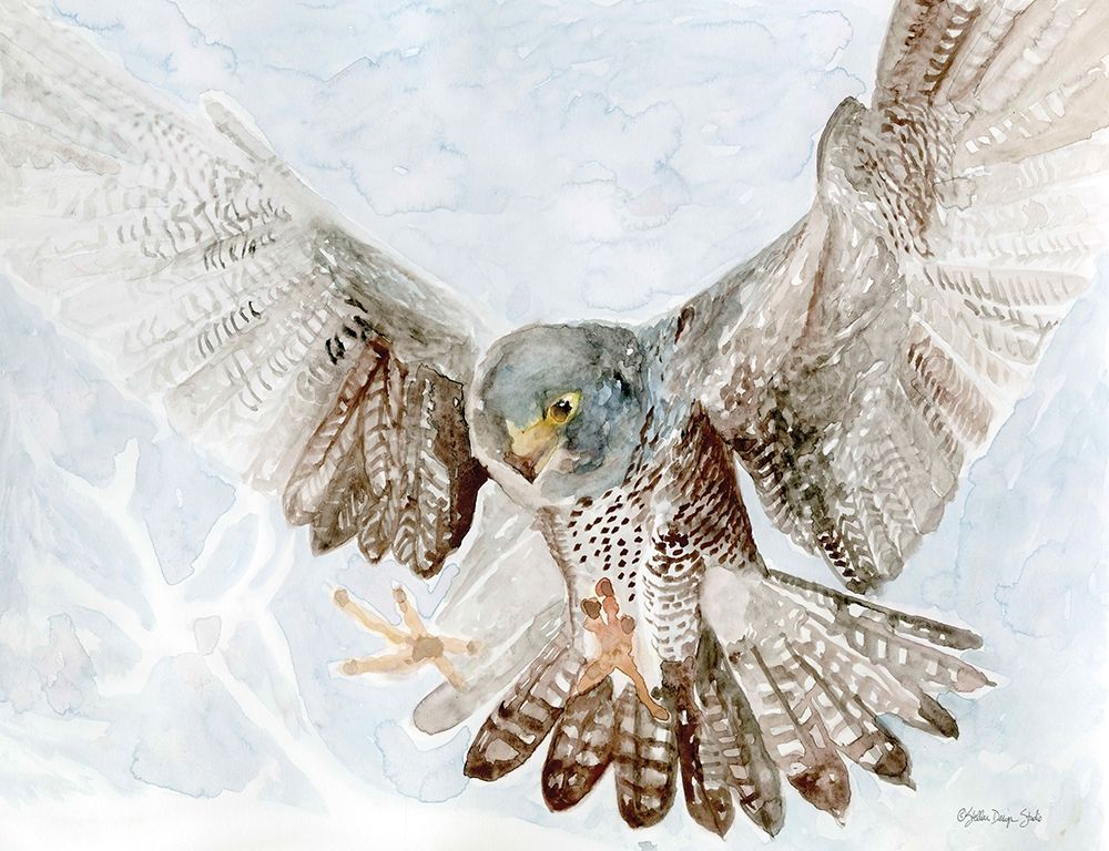 Falcon art print by Stellar Design Studio for $57.95 CAD