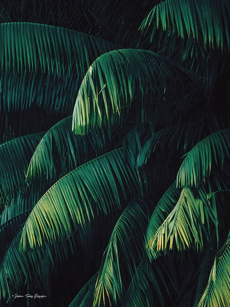  Palm Leaves   art print by Seven Trees Design for $57.95 CAD