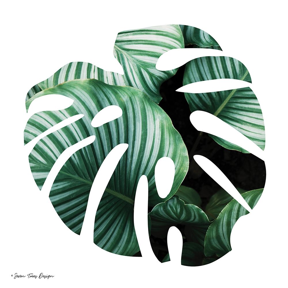 Leaves Leaf art print by Seven Trees Design for $57.95 CAD
