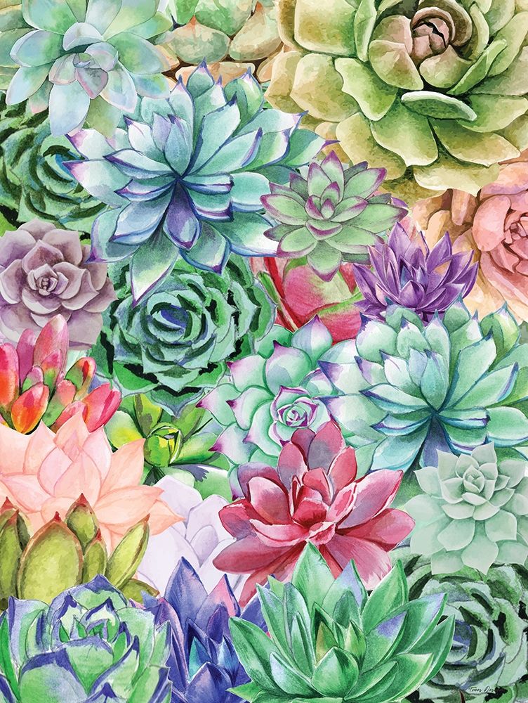 Succulents Paradise art print by Seven Trees Design for $57.95 CAD