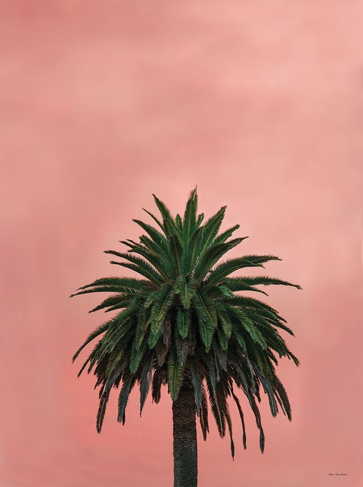 Pink Palm art print by Seven Trees Design for $57.95 CAD